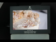 10.1 ইঞ্চি 1024X600