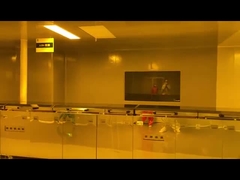 উন্নয়নশীল লাইন