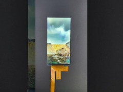 6 ইঞ্চি 1080*2160 রেজোলিউশন lcd tft মডিউল MIPI ইন্টারফেস ড্রাইভিং আইসি HX8399C