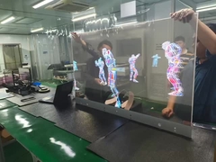 অ্যামোলেড ডিসপ্লে মডিউল