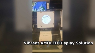1.75 রাউন্ড AMOLED 466X466