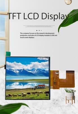 3.95 Inch IPS TFT LCD Screen with 720*720 Resolution and MIPI Interface ST7703-V1-G5-D