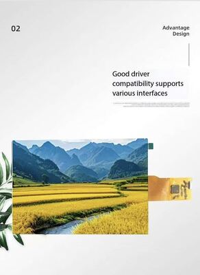7.0 Inch IPS TFT LCD Module with 1200RGBx1920 Resolution and 1000 Brightness MIPI Interface